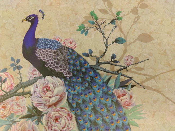Peacock background