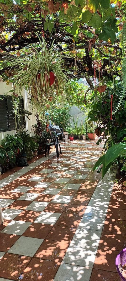Shades and shadows