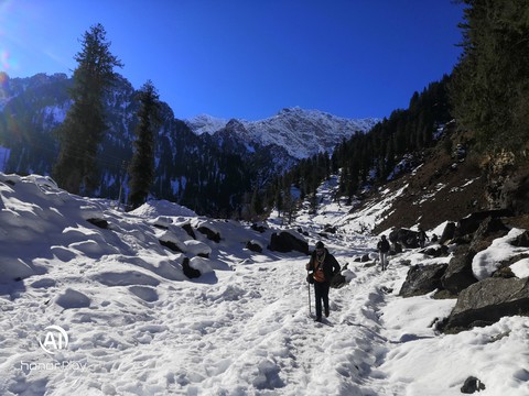 Winter
