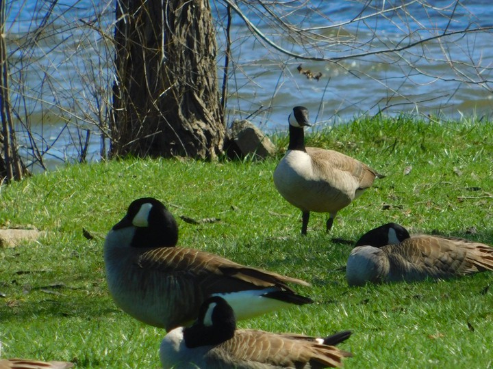 lakemore ohio