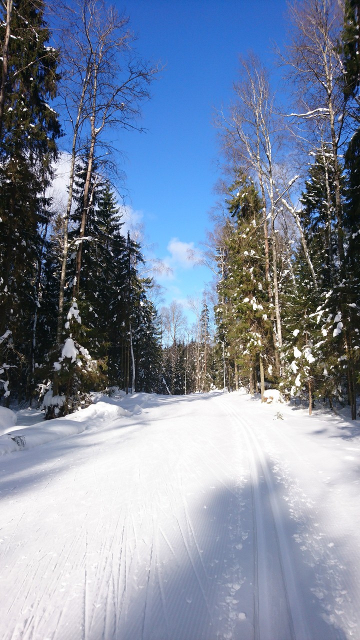 Winter fairytale