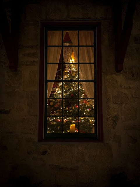 christmas tree