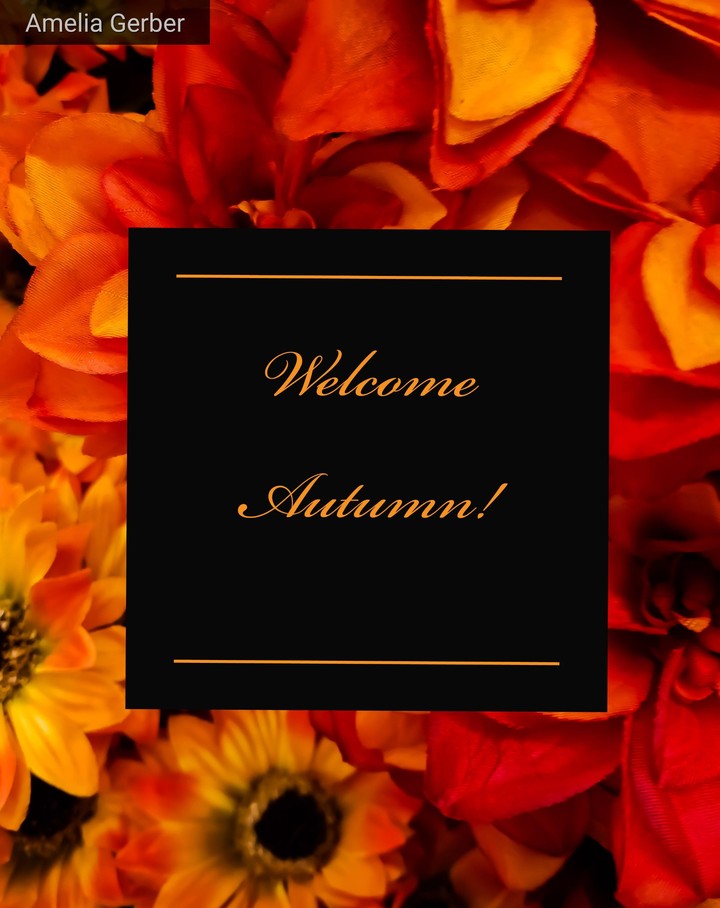 welcome!