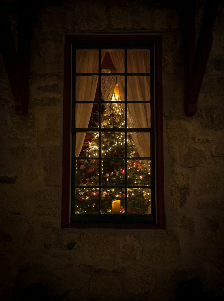 christmas tree