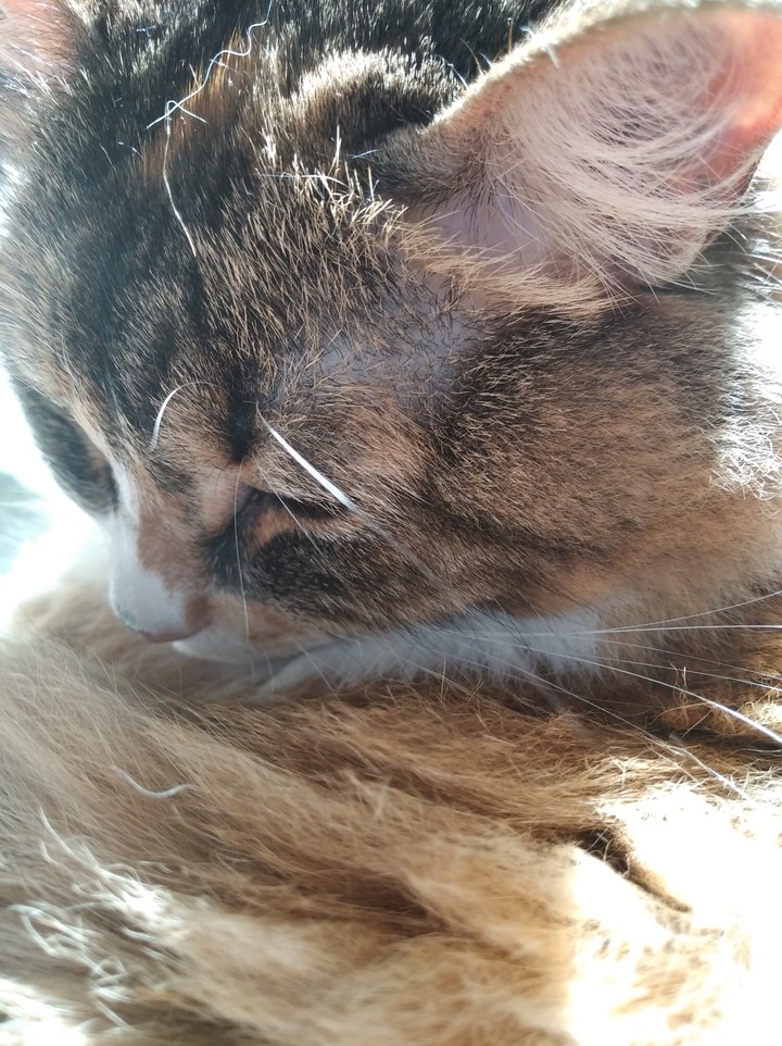 ao sol ?