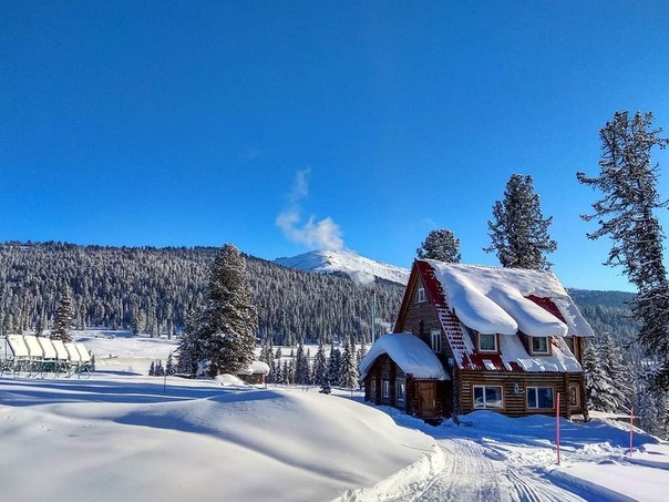 Winter