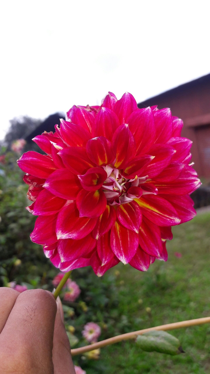 for you love