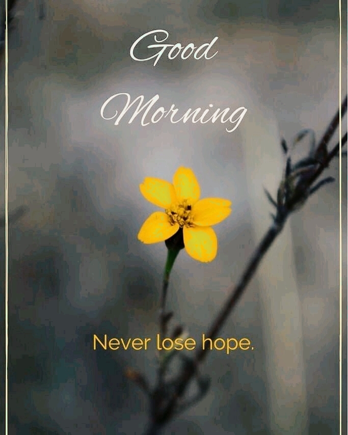 good morning