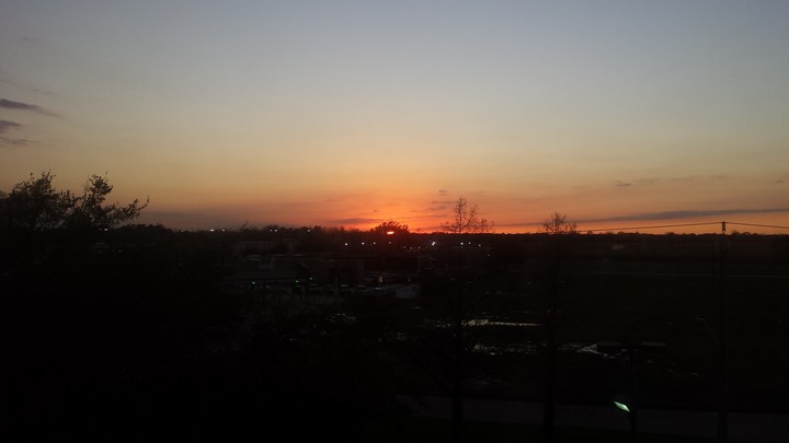 sunset tree