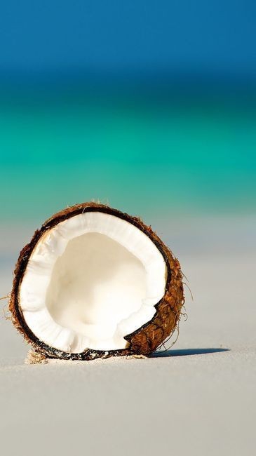 Coconut