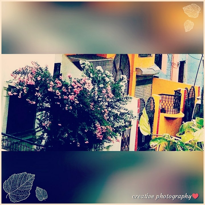 creativity photography