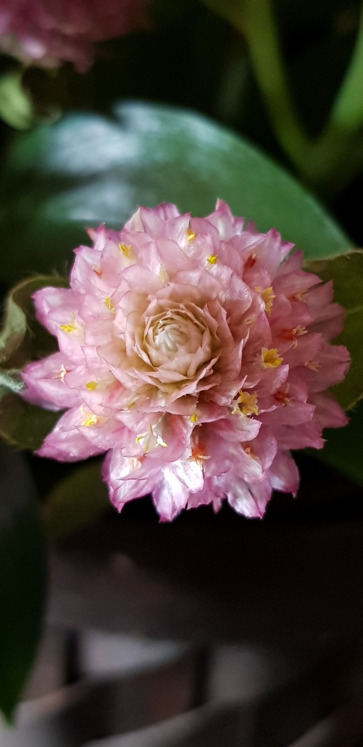 ~♡