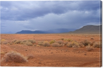 rain in the desert
