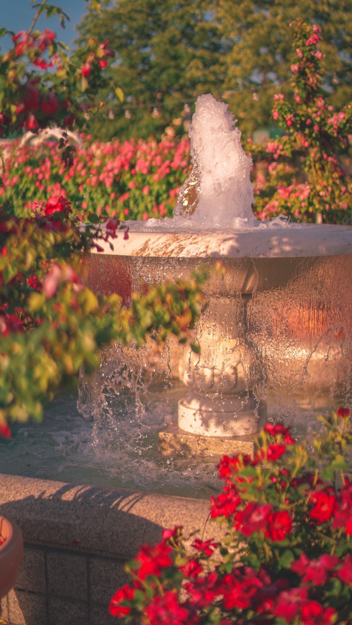 Garden fountain