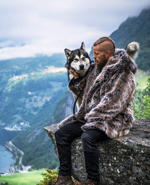 fonds d'écran dog, Tourism