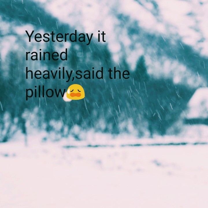 Pillowlove❤️