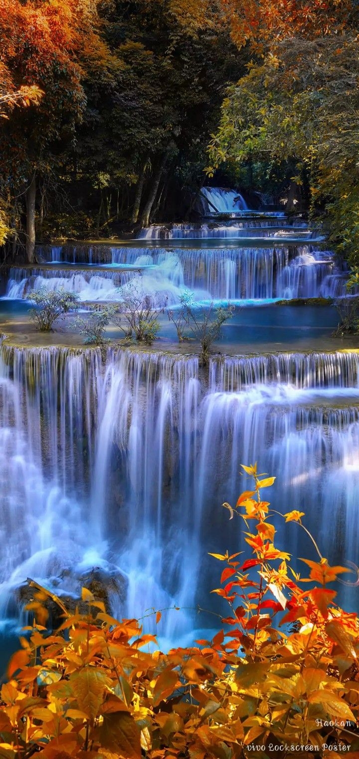 branch, nature duvar kağıtları