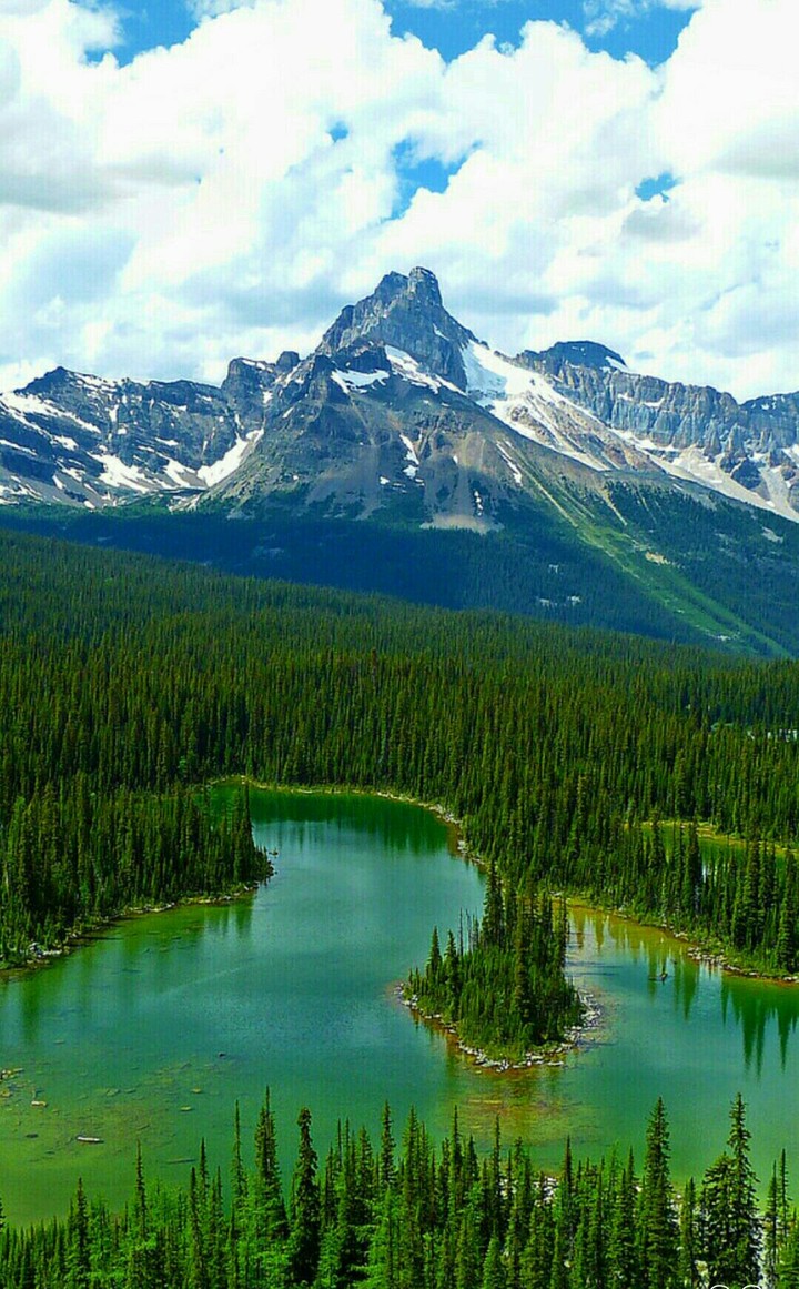 Beautiful Nature vew