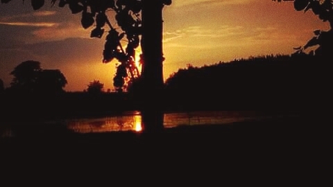 Beautiful sunset
