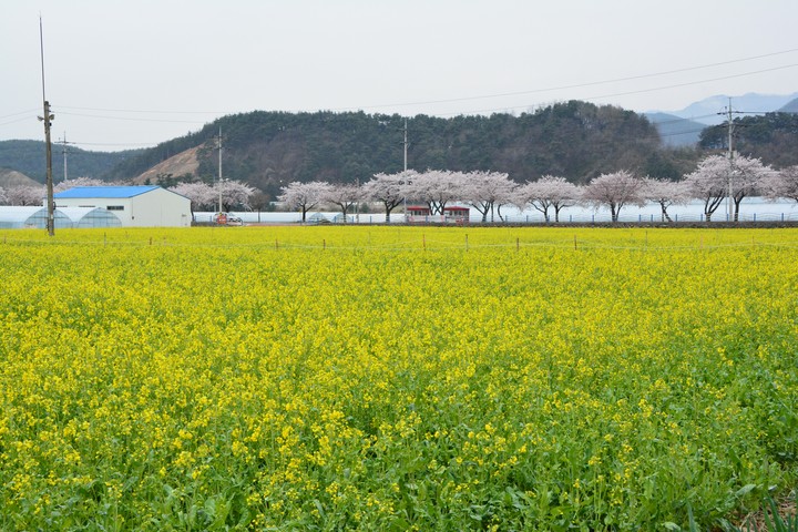 풍경이미지