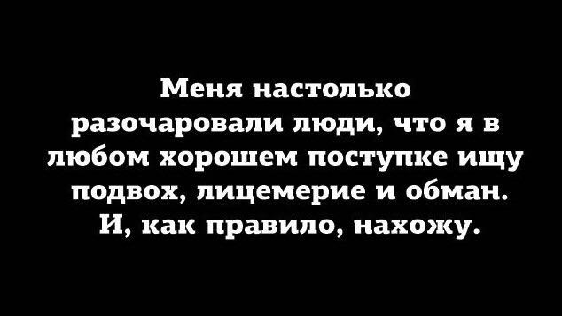 цитата