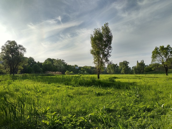 Великолепная весна