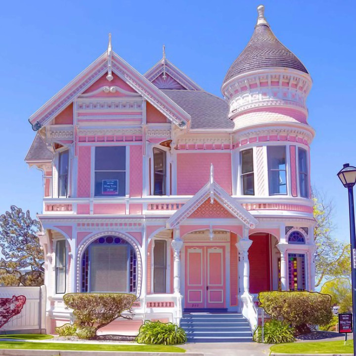 Pink lady