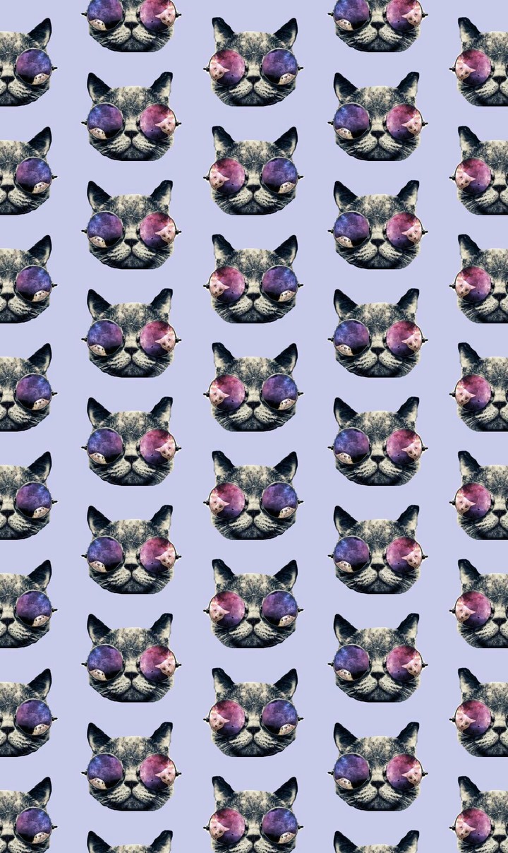lilac cats