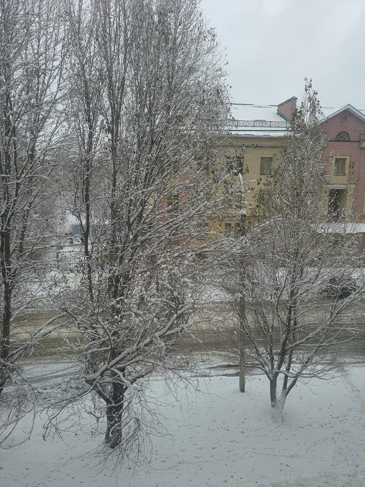 winter
