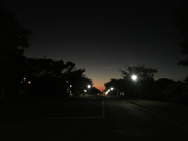 Jeju university