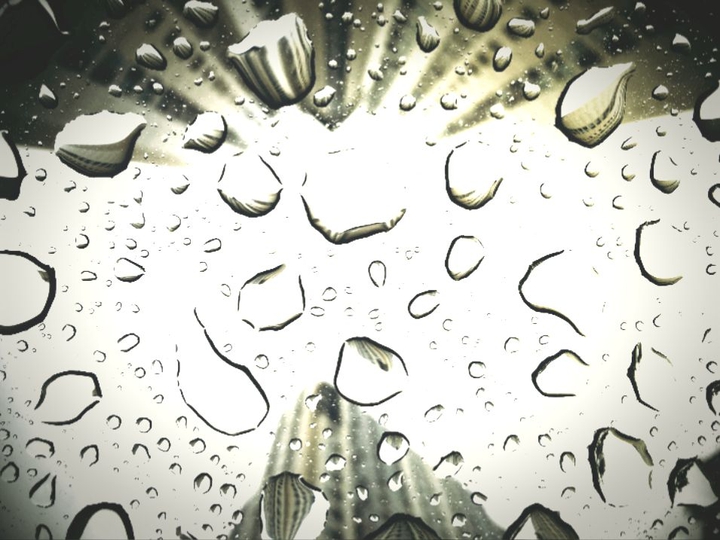 Rain♥♥♥