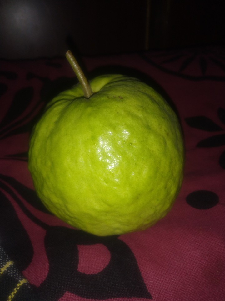 Guava