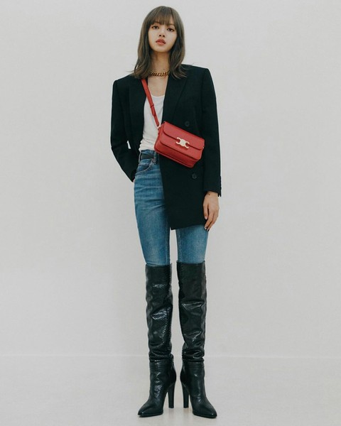 lisa model