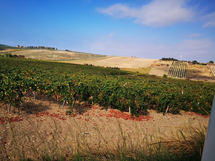 sicilia 2019