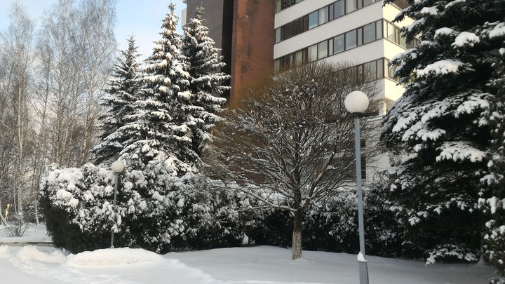winter