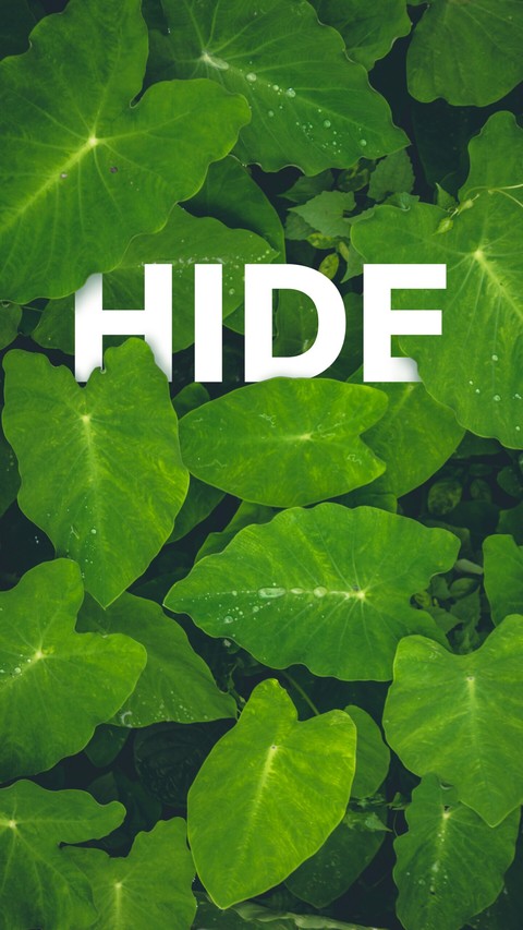 Green HIDE?
