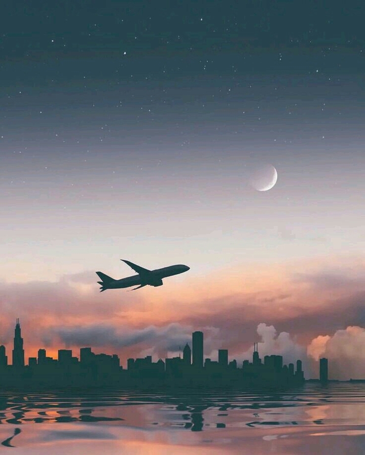 Fly