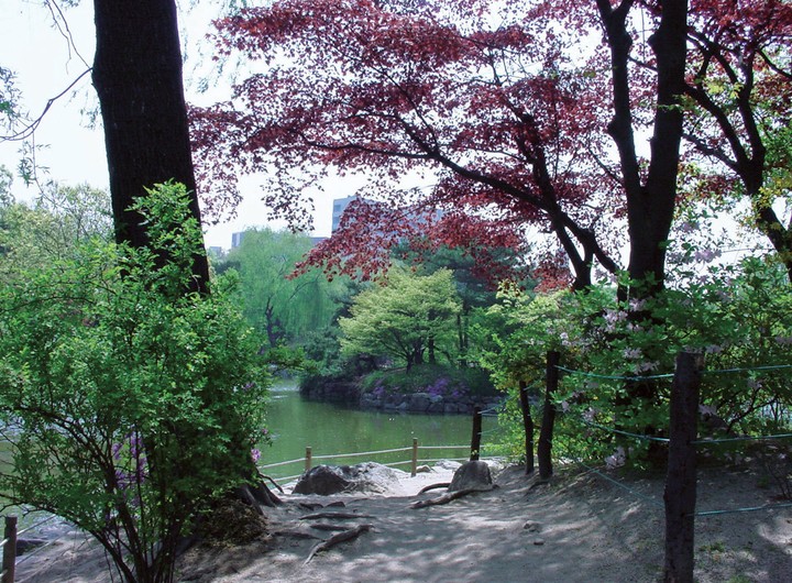 풍경이미지