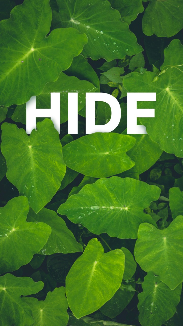Green HIDE?