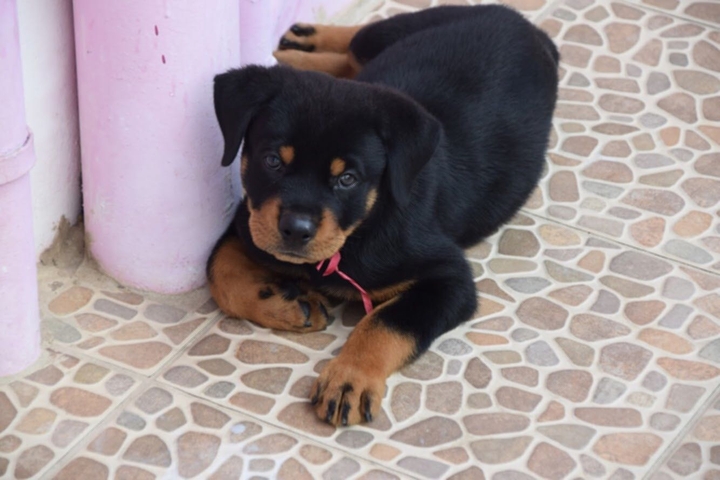 “I’m cute & I know it.”