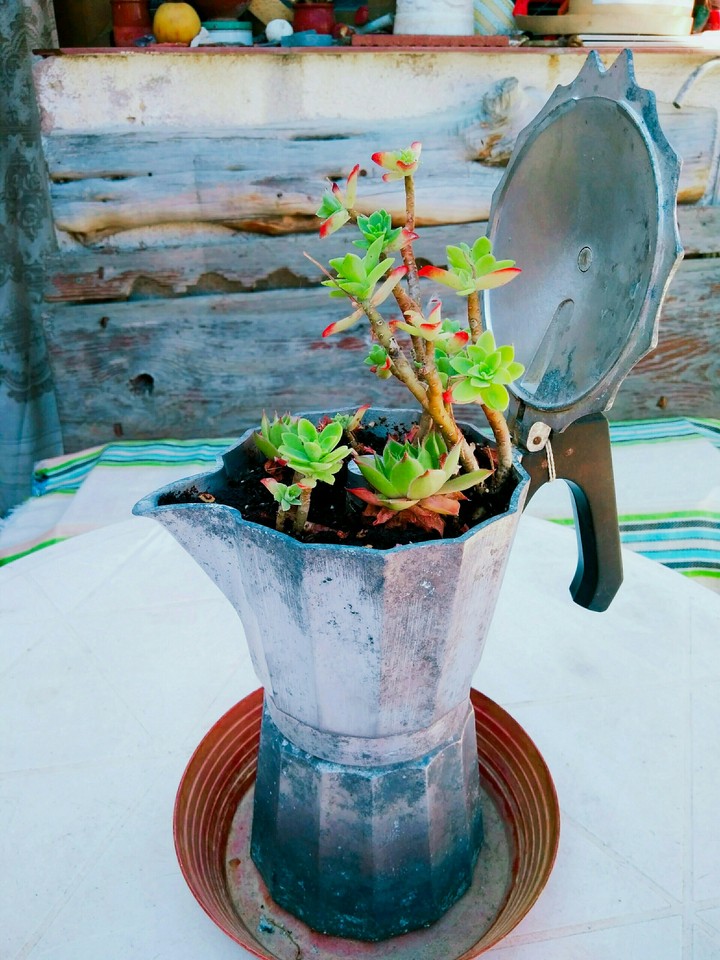 Buenos dias, un cafe?