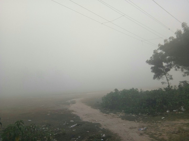 Fog