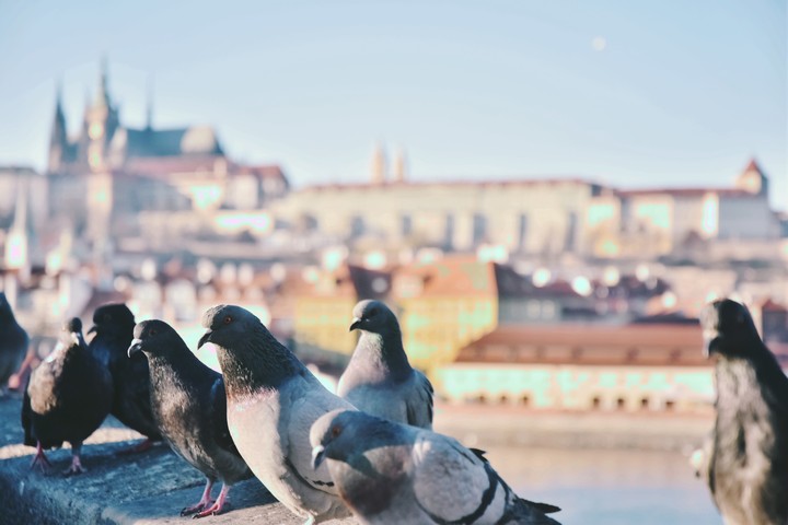 prague