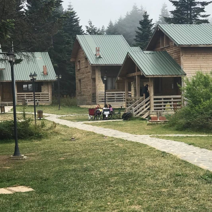Bursa sarıalan doğa köşkleri