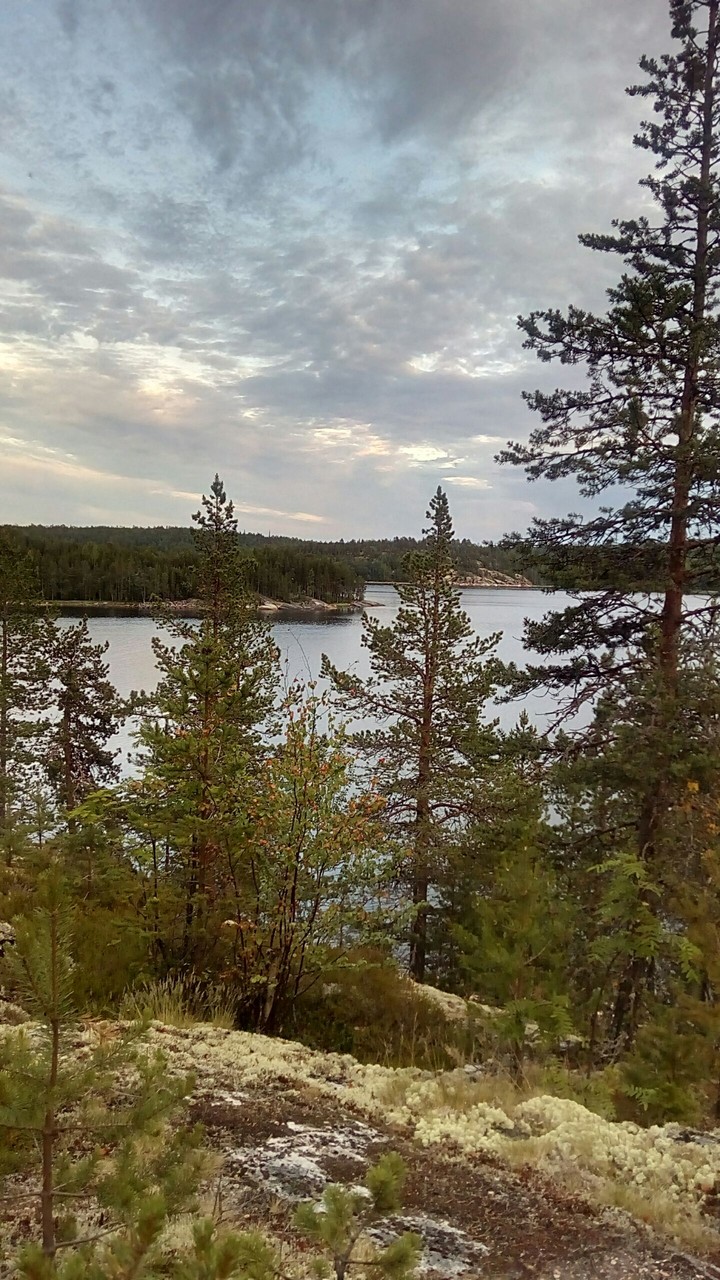 белое море
