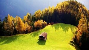 naturally wonder