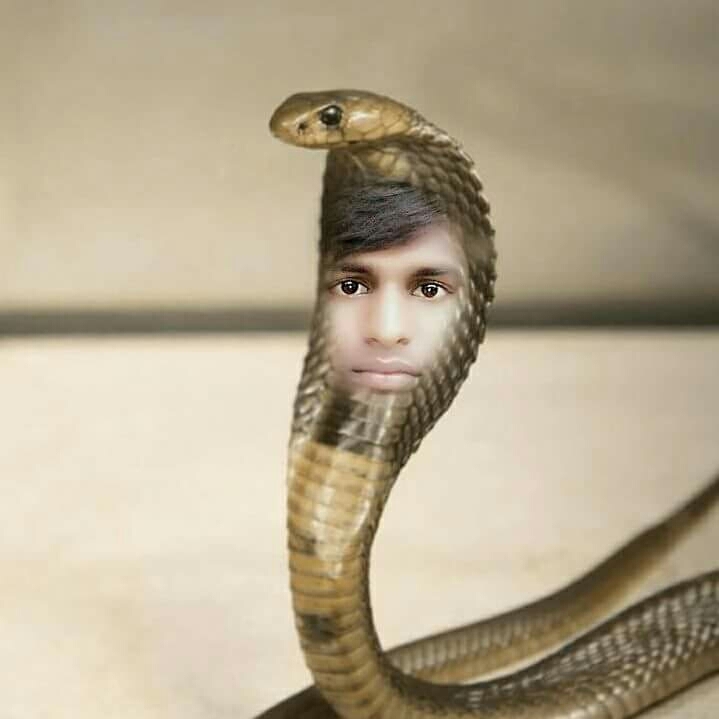 vivek Kumar