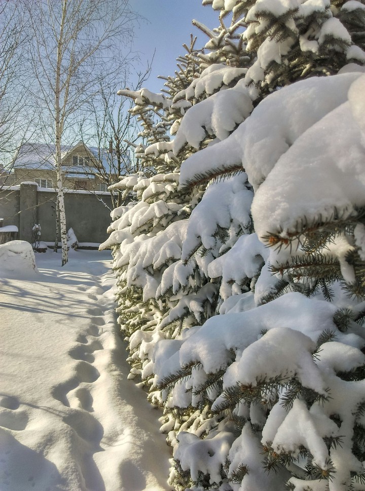 Winter