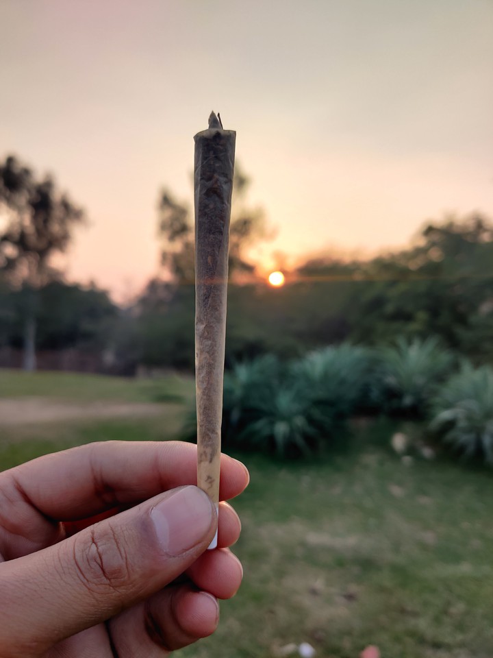weed