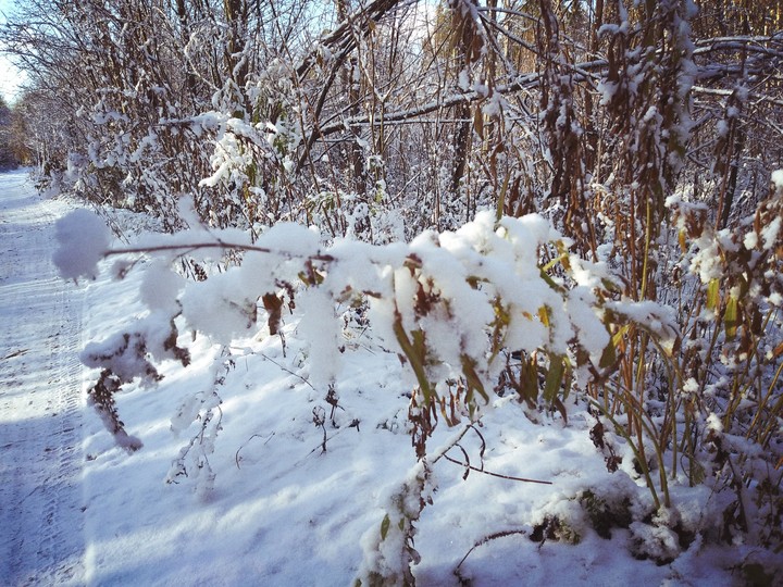 winter